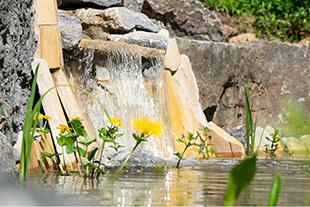 Kleiner Wasserfall aus hellbraunen Natursteinen mit klarem Wasser, umgeben von gelben Blumen und grünen Pflanzen in einem Garten.