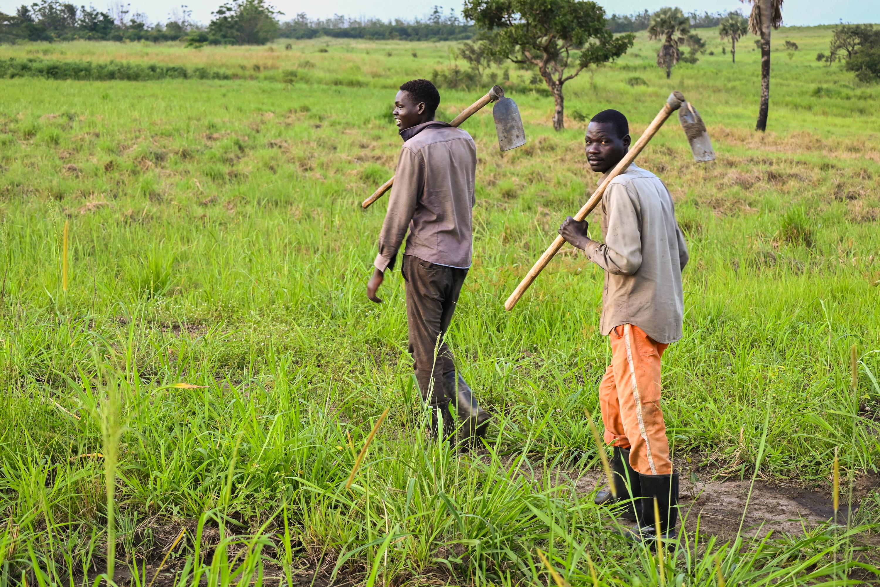 Farmers heading back home after working in the fields-Delight Farm