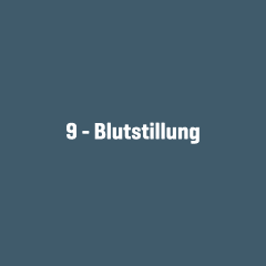 AltText>9 – Blutstillung, weißer Schriftzug mittig platziert