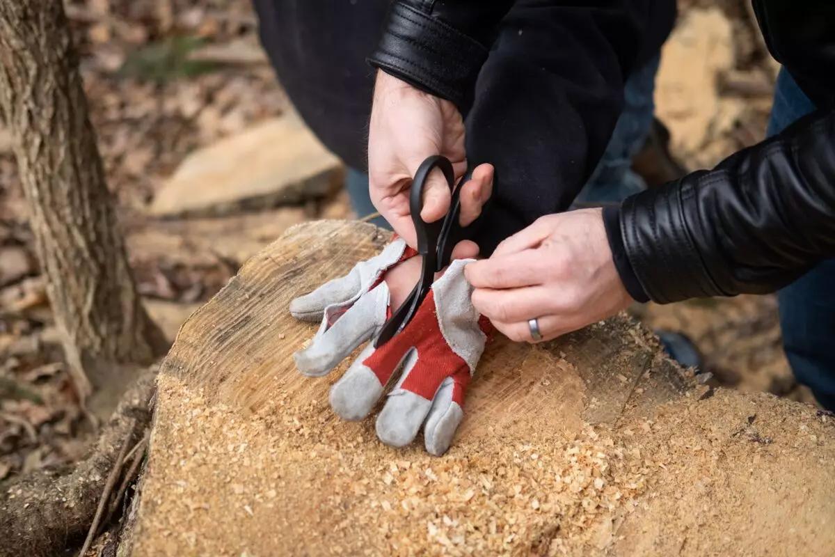 Hände mit roten und weißen Handschuhen schneiden mit schwarzen Scheren ein Stück helles Holz im Wald auf einem Baumstumpf.