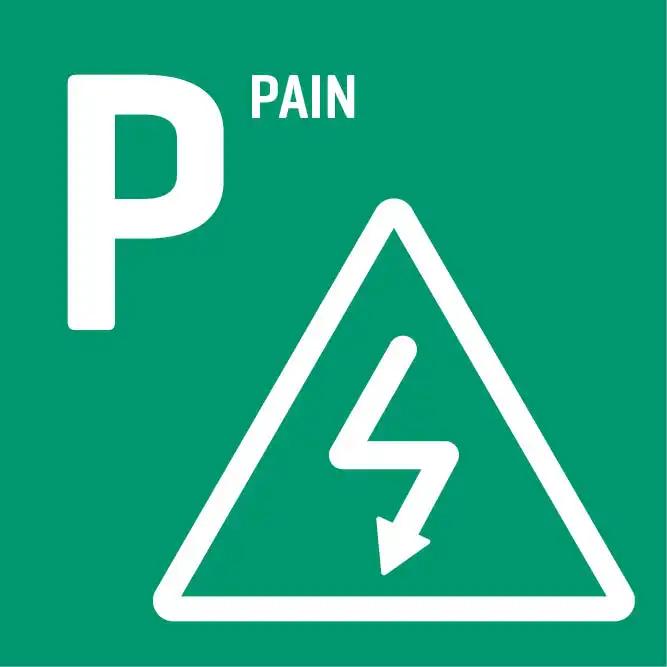 Grünes Schild mit weißem Buchstaben P links oben, daneben dreieckiges Warnsymbol mit Schriftzug PAIN und einem Blitzzeichen.