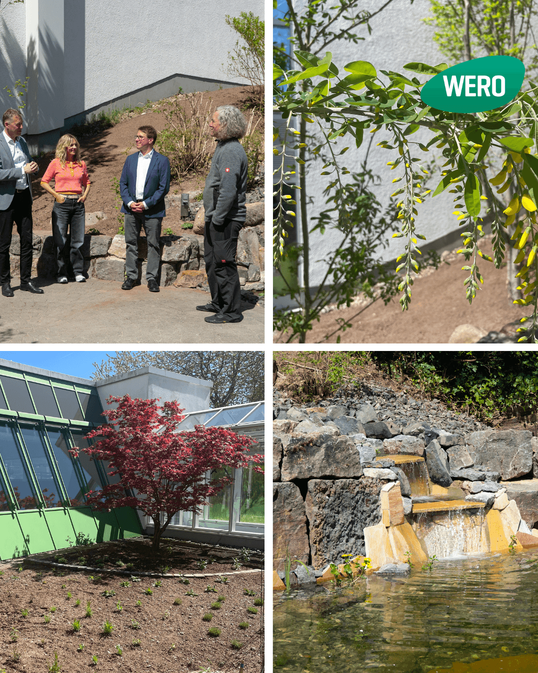 Collage mit modernem Gebäude mit Solarpanelen, rotem Baum im blühenden Garten, zwei Personen am Steinsims und Teich mit kleinem Wasserfall.