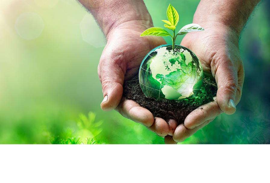 Hände umfassen sanft einen kleinen Globus mit Blättern und sprießendem Pflänzchen auf Erde.