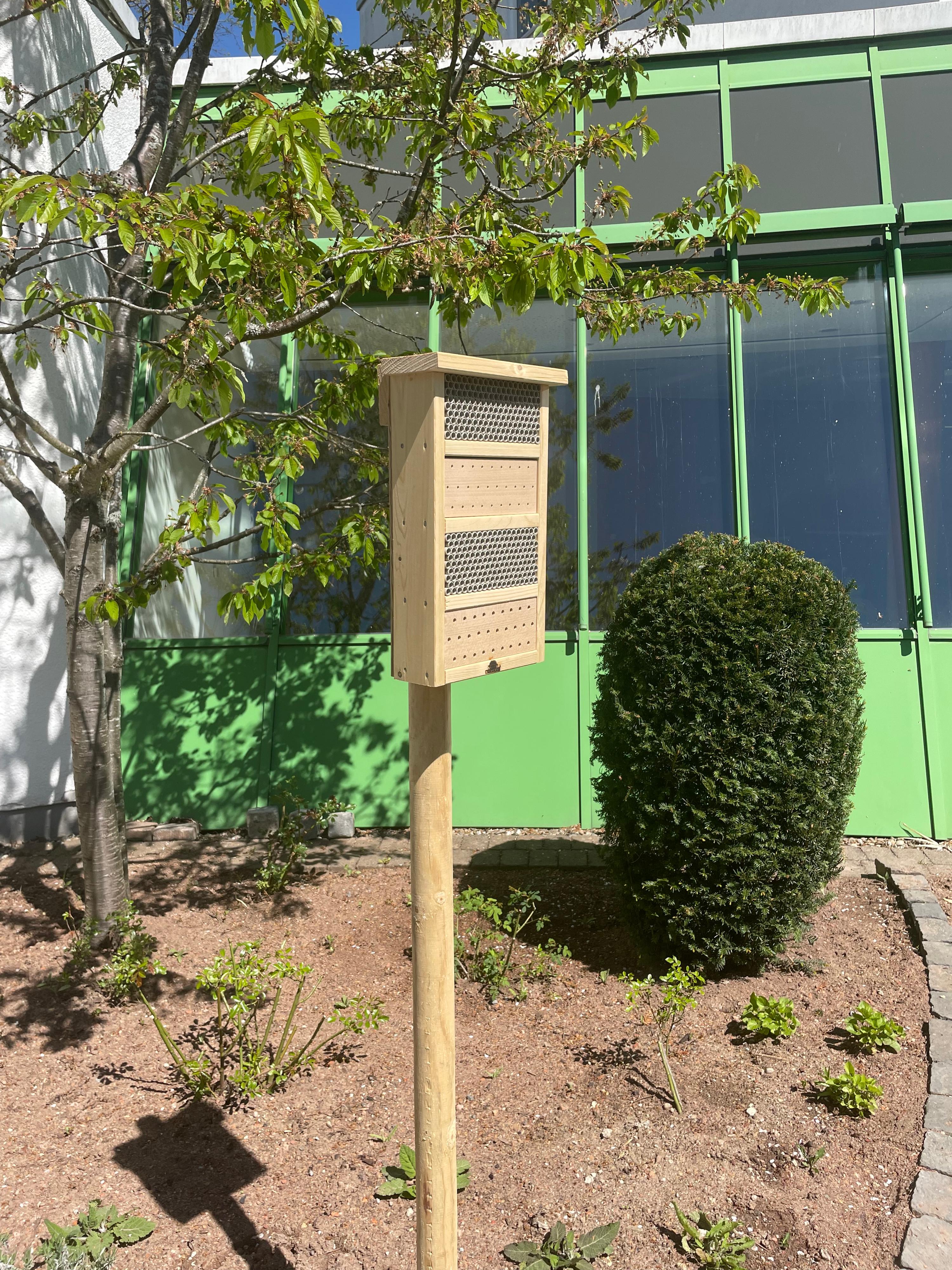 Holzbienenstock auf Pfosten im kleinen Garten mit Sträuchern und jungen Pflanzen vor grünem Schiebetor und Glasfassade