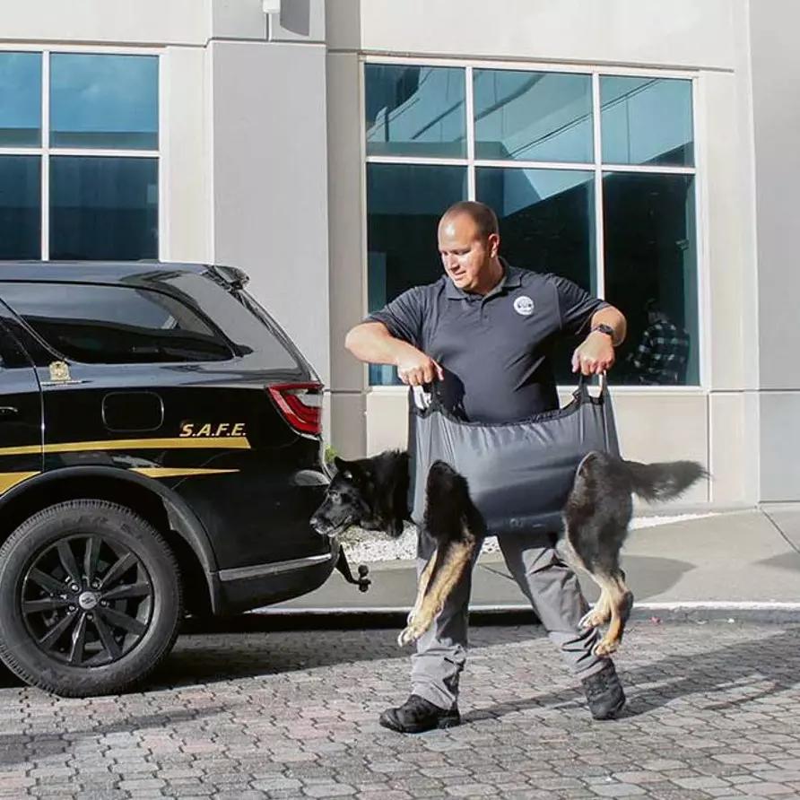 Ein Mann hebt mit dem Rescue Essentials K9 QuikLitter - Tragetuch für Diensthunde - Groß einen großen Hund sicher und bequem per grauem Tragegeschirr.
