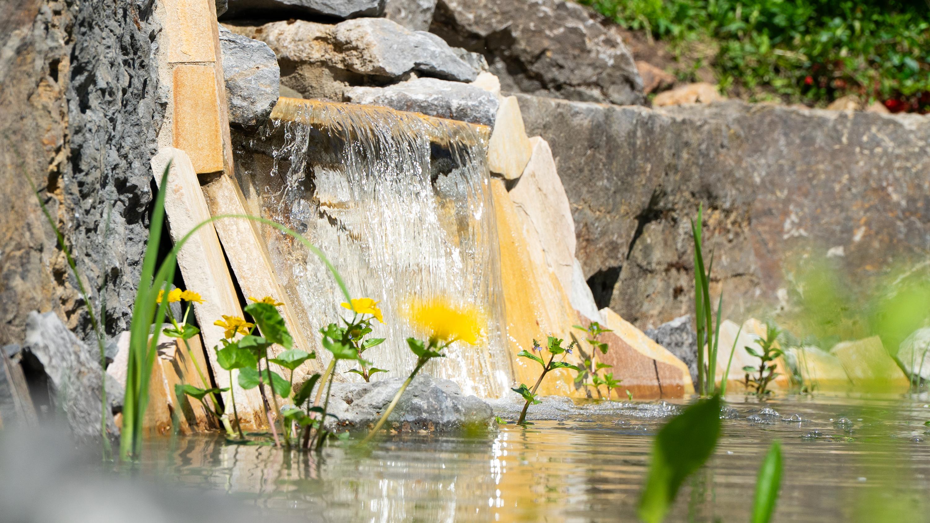Ein kleiner Wasserfall fließt über unregelmäßige Steine in einen Teich, umgeben von grünen Pflanzen und gelben Blumen.