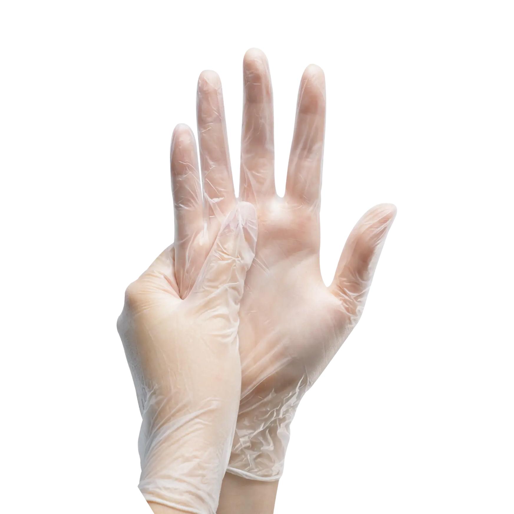 Zwei Hände tragen Vinyl-Einmalhandschuhe ECO-PLUS, glatte Handfläche, leichte Qualität und beidhändige Passform, sauber und unbenutzt.