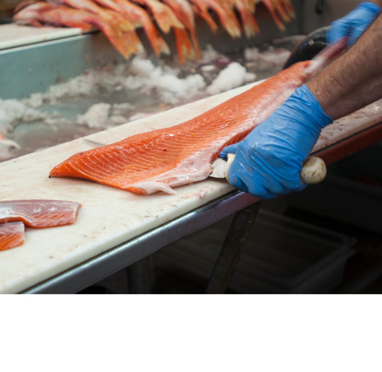 Eine Person schneidet einen Fisch an einem Fischstand. Dabei trägt er Einmalhandschuhe.