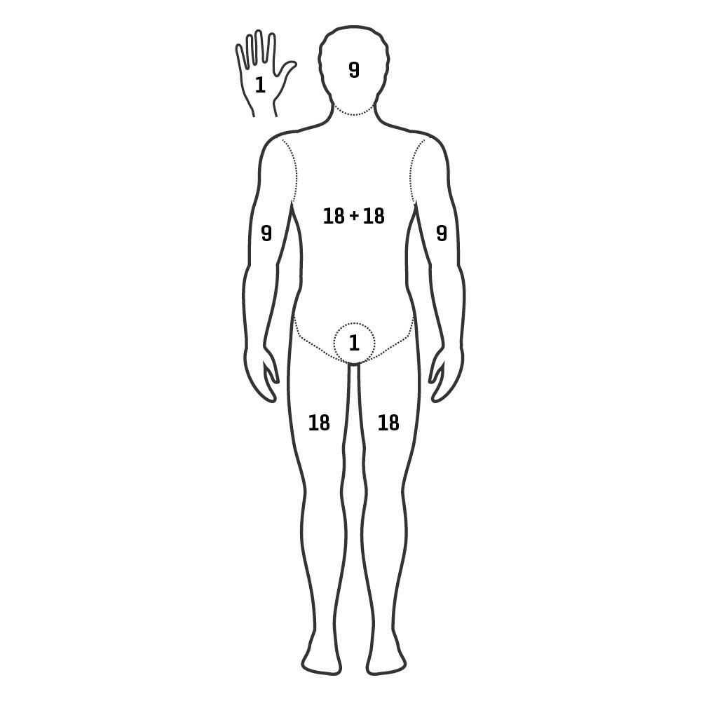 Anatomische Zeichnung eines männlichen menschlichen Skeletts in Frontalansicht, nummerierte Knochen deutlich erkennbar.