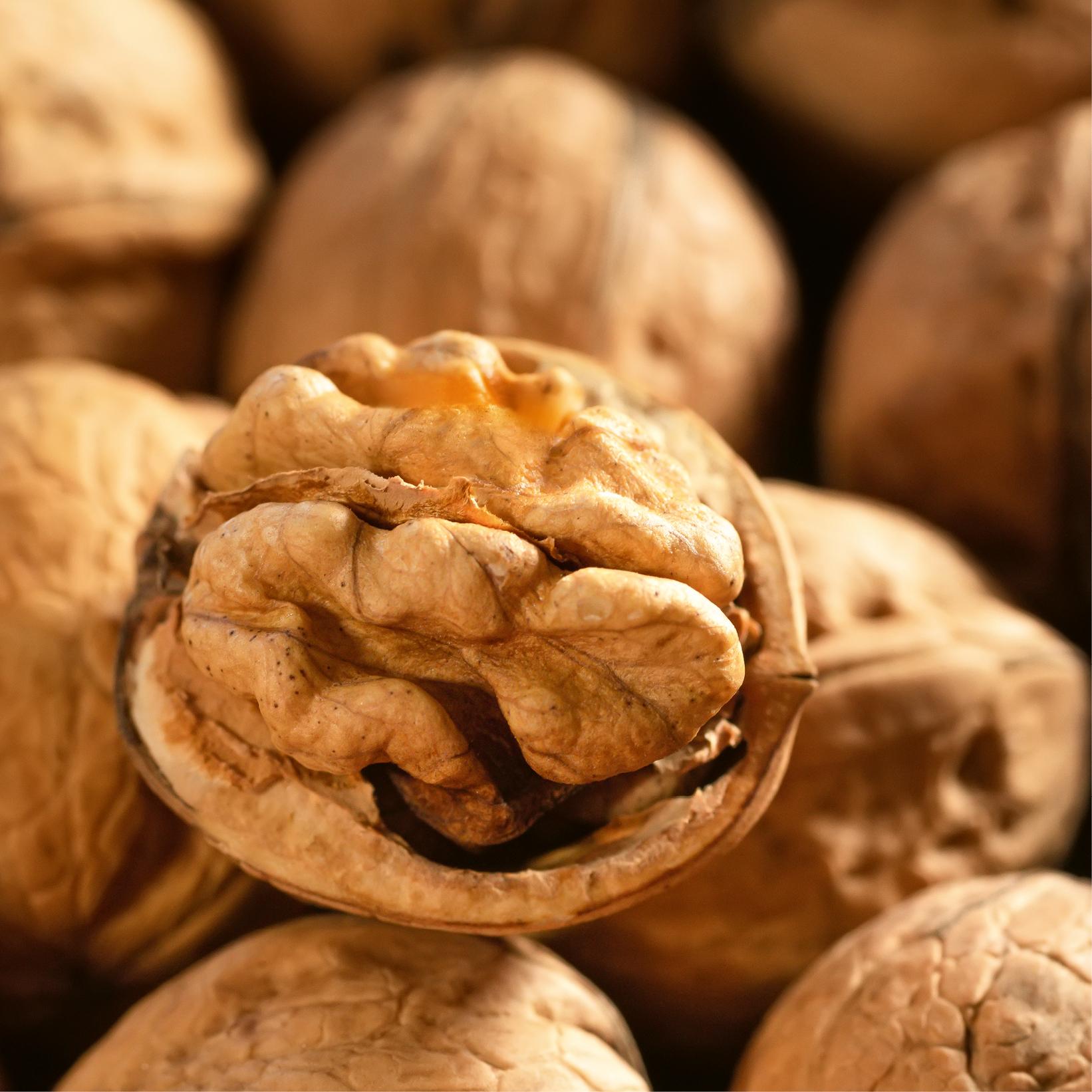 Geöffnete Walnuss mit beige-orangefarbenem Kern im Vordergrund, umgeben von weiteren hellbraunen Walnüssen.
