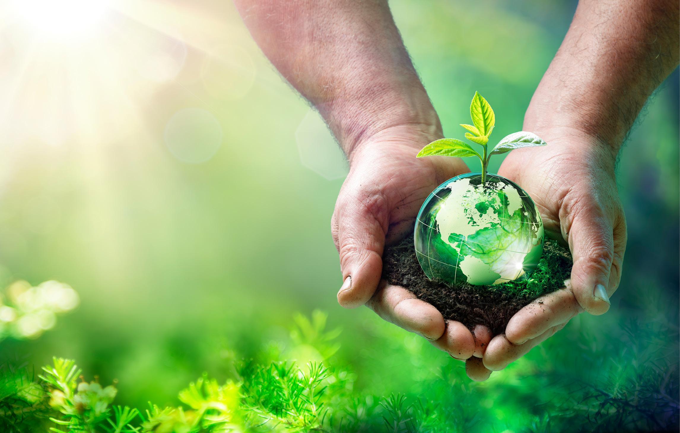Ältere Hände halten einen kleinen Globus mit reicher, dunkelgrüner Erde umgeben, vor unscharfem, grünem Naturhintergrund.