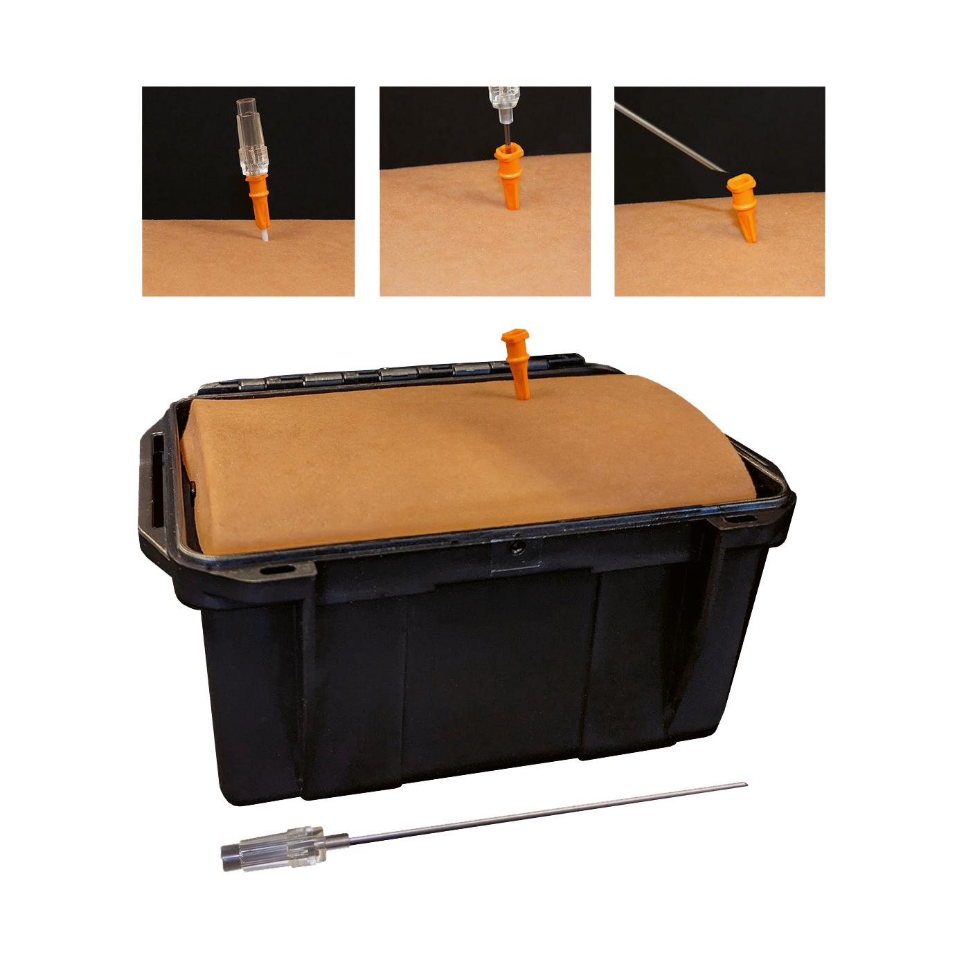 Ein Techline Entlastungspunktions-Trainer mit realistisch nachgebildeter Haut, Knochen und innerer Membran, flankiert von medizinischen Instrumenten.