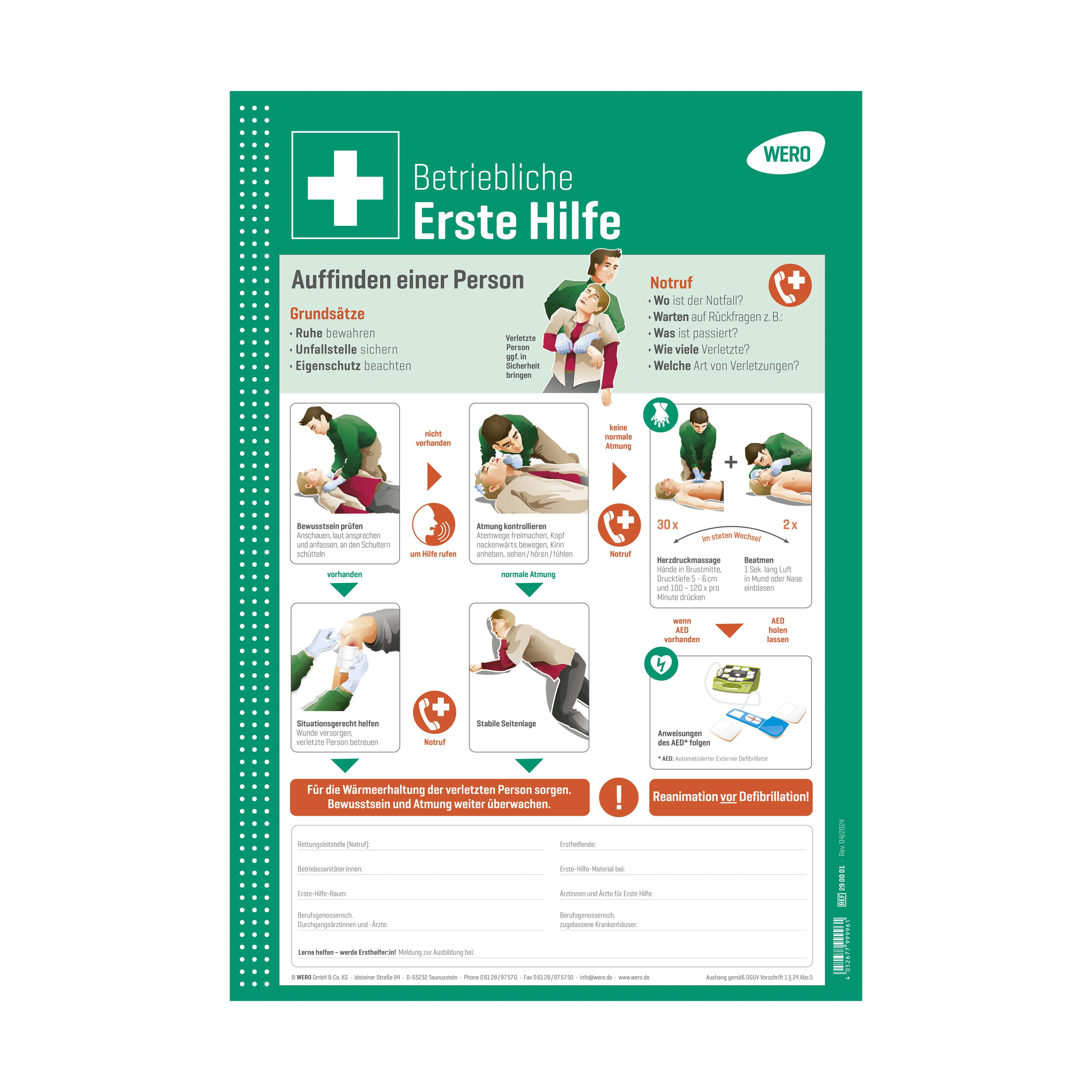 Grünes WERO Schild: Betriebliche Erste Hilfe mit weißem Kreuz, mehrsprachigen Anweisungen zur Herz-Lungen-Wiederbelebung und CPR-Illustrationen aus Kunststoff.