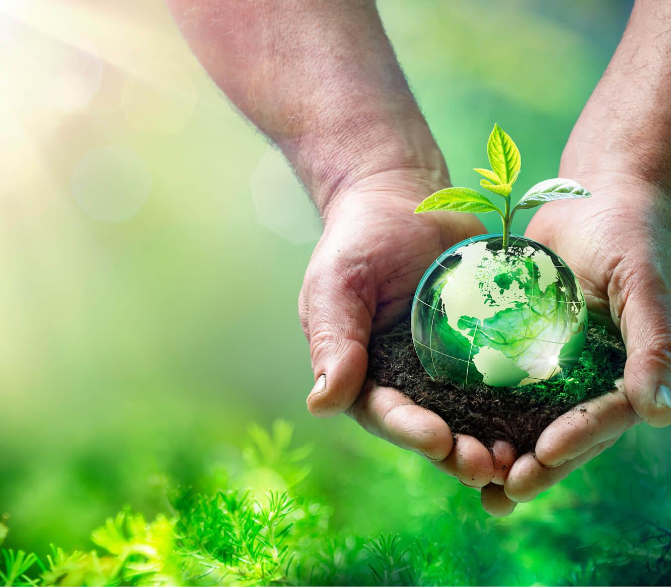 Ältere Hände halten eine in Folie gewickelte Miniaturerde mit sprießender Pflanze im Erdreich, symbolisch für Umweltschutz und Nachhaltigkeit.