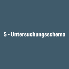 Zahl 5 und Text „Untersuchungsschema“ in weißer Schrift zentriert auf dunkelblauem Hintergrund