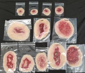 Techline Small Wound Kit mit selbstklebenden, unterschiedlich großen Wundsimulationen in Rot- und Rosatönen, einzeln beschriftet sortiert.