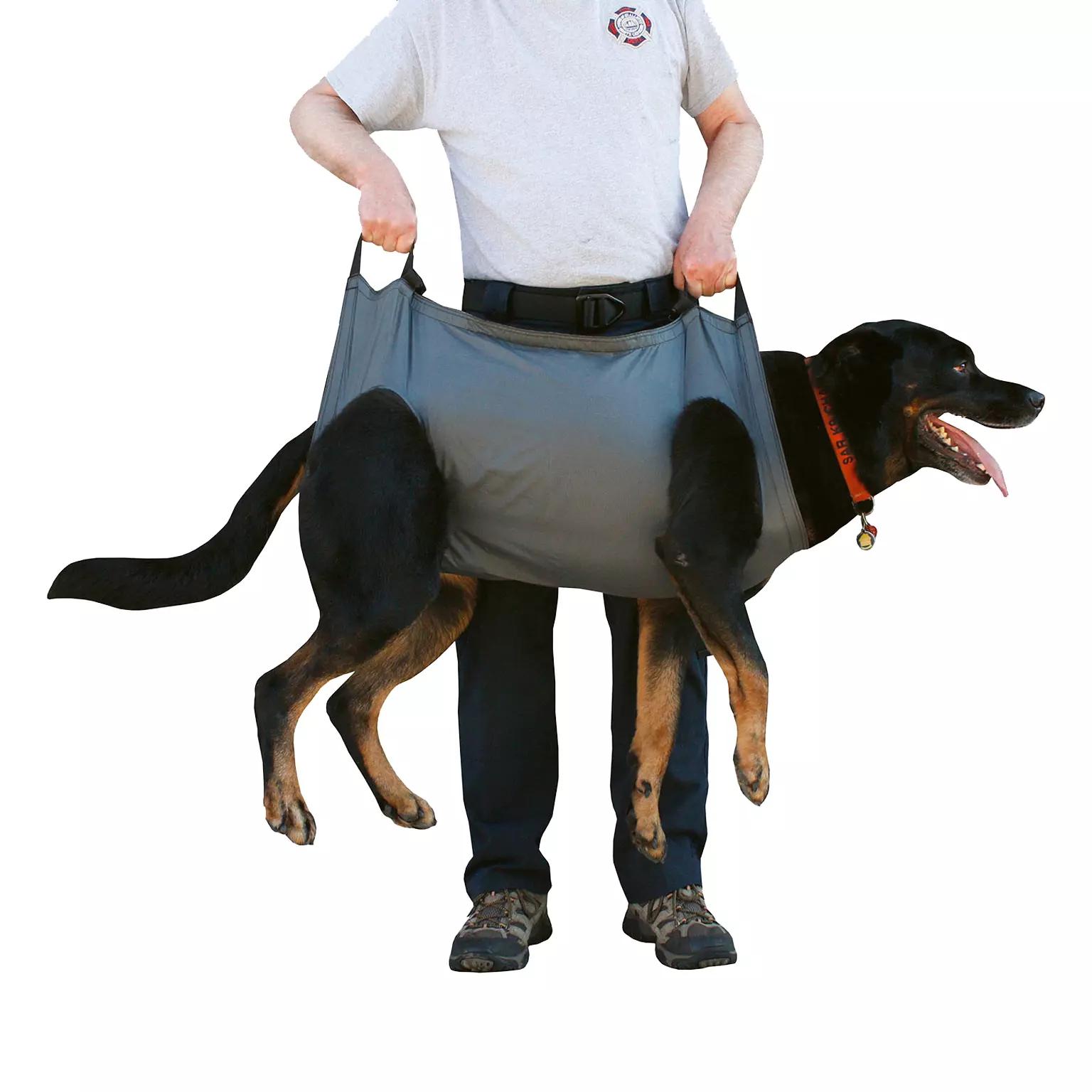 Ein großer Hund wird im Rescue Essentials K9 QuikLitter - Tragetuch für Diensthunde - Groß aus strapazierfähigem Ripstop sicher von zwei Personen getragen.
