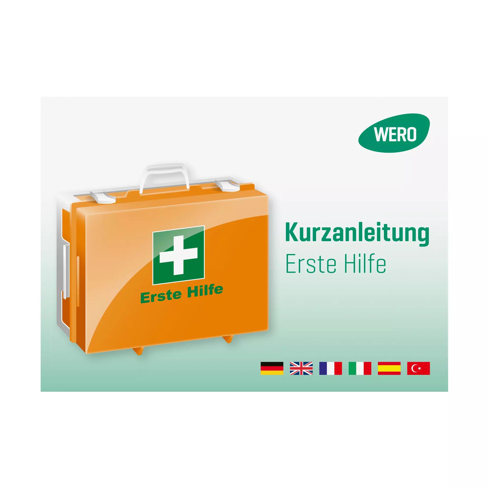 Orangefarbene Kurzanleitung Erste Hilfe Box mit grünem Kreuz, weißem Griff und verschiedenen Länderflaggen darunter im Zentrum des Bildes.