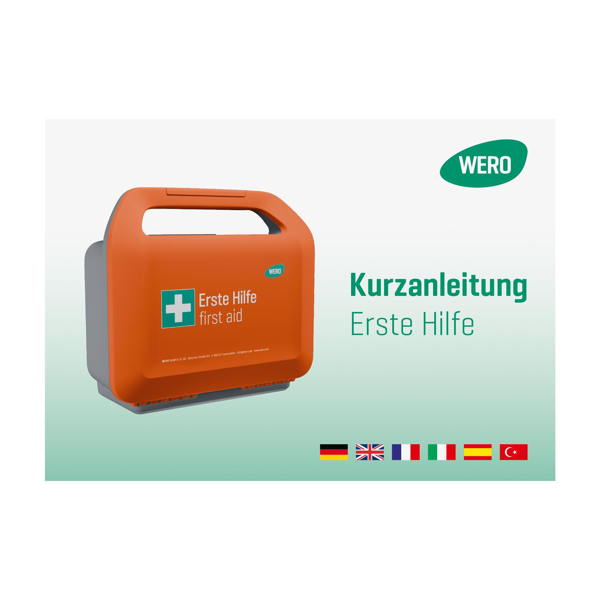 Orangefarbene Kurzanleitung Erste Hilfe Box mit grünem Kreuz, weißem Griff und verschiedenen Länderflaggen darunter im Zentrum des Bildes.