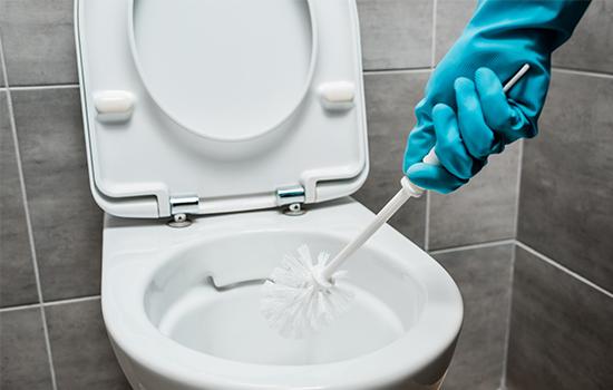 Eine Hand mit blauem Handschuh reinigt mit einer weißen Toilettenbürste den Innenraum einer offenen Toilette vor grauen Fliesen.