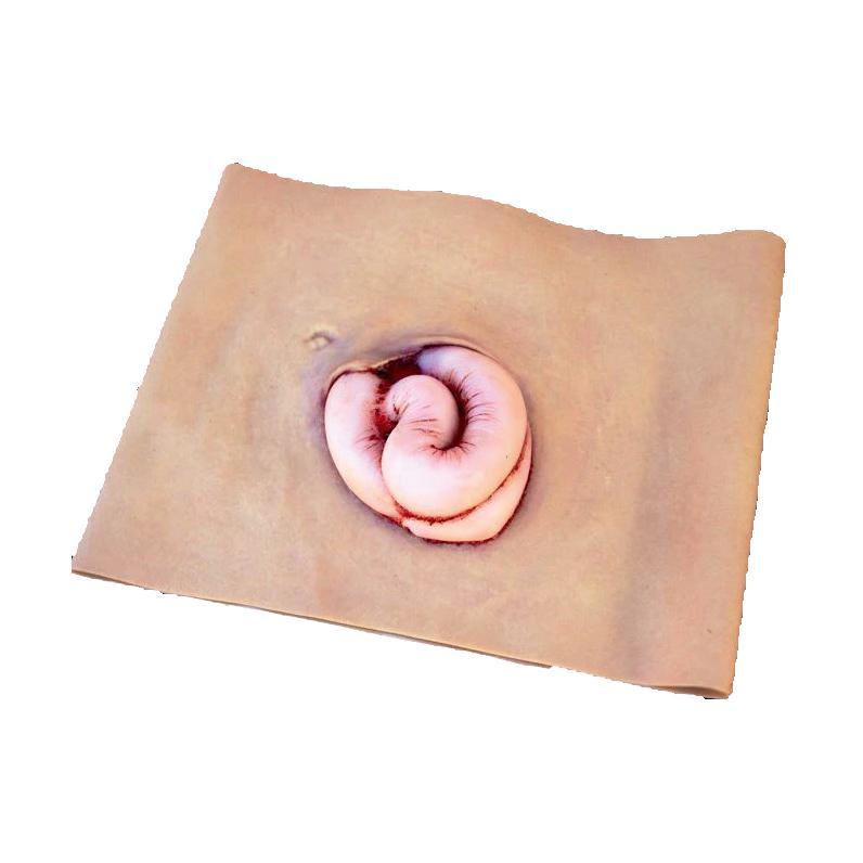 Ein rosafarbener, ringförmiger Trainingsdarm mit freiliegendem Gewebe aus Techline Moulage Eingeweide liegt auf einer beigen Unterlage.