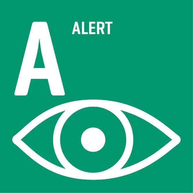 Weißes "A" und stilisiertes Auge mit dem Wort "ALERT" auf grünem Quadrat