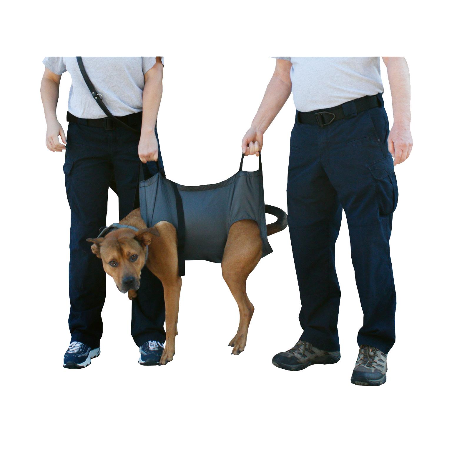 Ein mittelgroßer brauner Hund wird mit dem Rescue Essentials K9 QuikLitter Tragetuch aus robustem Ripstop-Material und länglichen Beinlöchern von zwei Personen getragen.