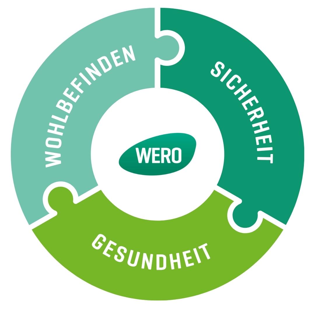 Kreisdiagramm mit drei grünen Segmenten und weißen Puzzleteilen, beschriftet mit WERO, Wohlbefinden, Sicherheit und Gesundheit