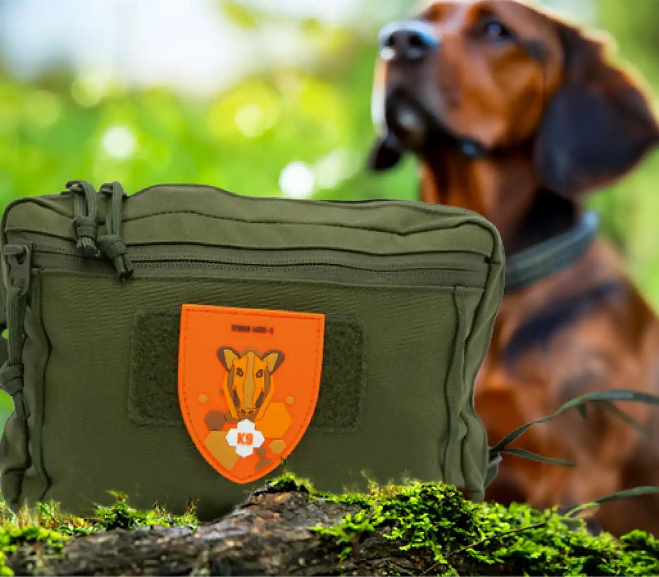 Erste Hilfe beim Hund: Worauf es im Notfall wirklich ankommt