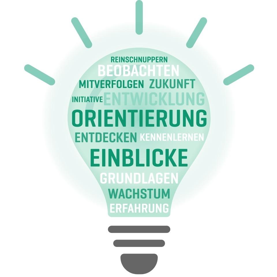 Glühbirnengrafik mit grünen Begriffen wie Orientierung, Entwicklung, Einblicke, Kennenlernen und Wachstum auf weißem Hintergrund